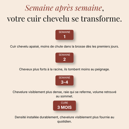 Le Sérum Densifiant Cuir Chevelu